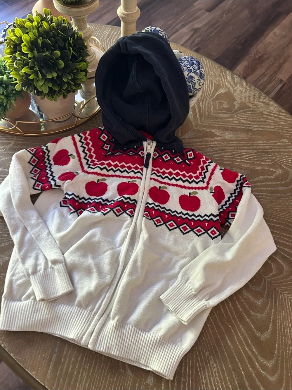Gymboree Faire Isle Fall Harvest Hooded Autumn Apple Sweater Cardigan Jacket